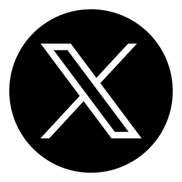 X Icon